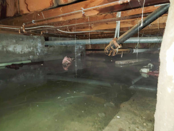 Best Flood damage cleanup  in Glen Rock, NJ