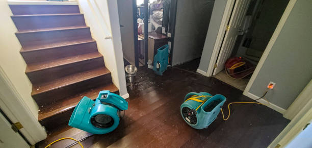 Best Carpet water damage restoration  in Glen Rock, NJ