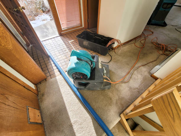 Best Local water damage restoration  in Glen Rock, NJ
