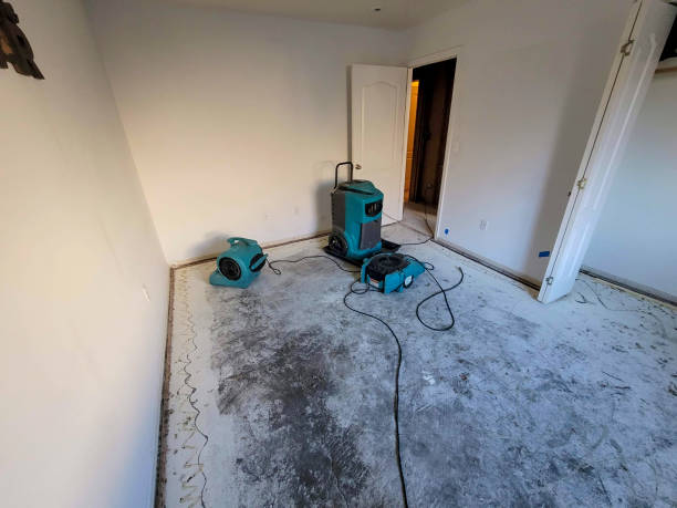 Best Local water damage restoration  in Glen Rock, NJ