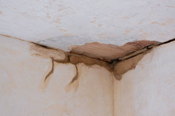 Best Residential water damage restoration  in Glen Rock, NJ