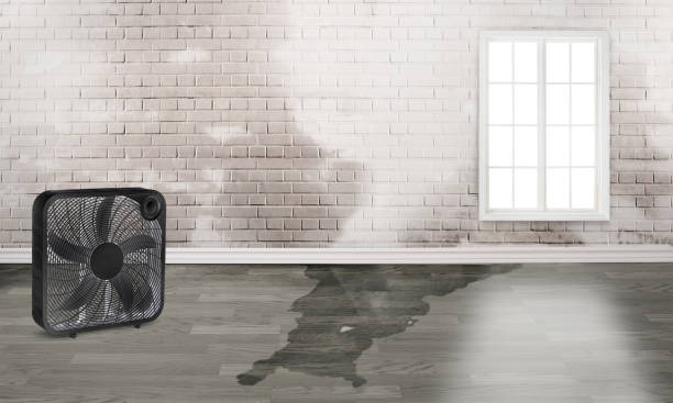 Best Emergency water damage restoration  in Glen Rock, NJ