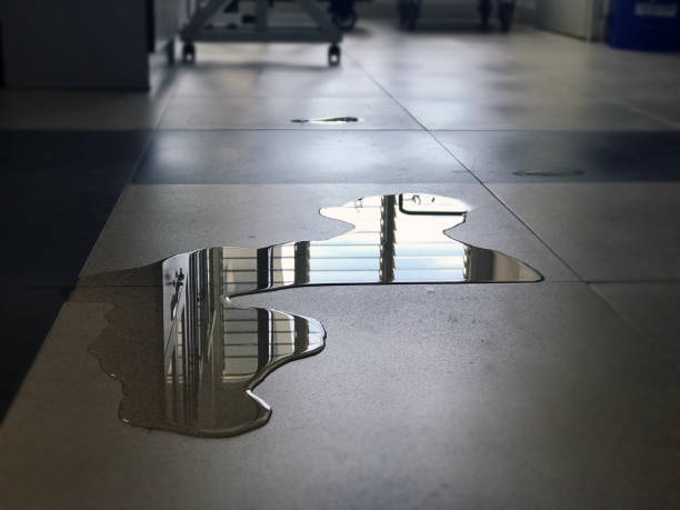 Best 24/7 water damage repair  in Glen Rock, NJ