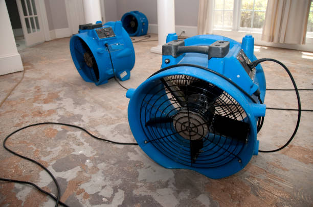 Best Water damage restoration insurance claims  in Glen Rock, NJ
