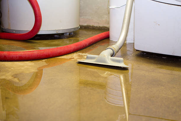 Best Water damage restoration near me  in Glen Rock, NJ