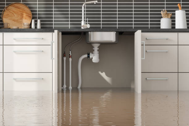 Glen Rock, NJ Water damage restoration Pros