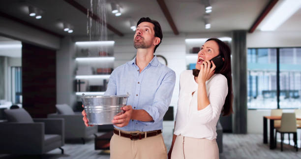 Best Ceiling water damage repair  in Glen Rock, NJ