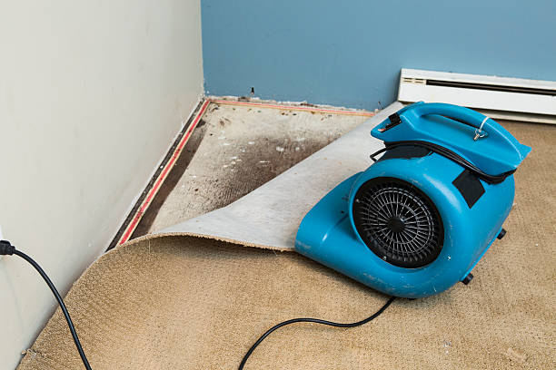 Best Sewage cleanup and water damage restoration  in Glen Rock, NJ